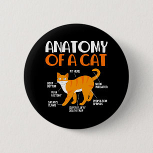 Funny Tabby Cat Owner Anatomy Of A Cat 6 Cm Round Badge