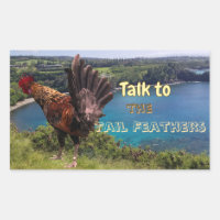 Funny Talk to the Tail Feathers Rooster