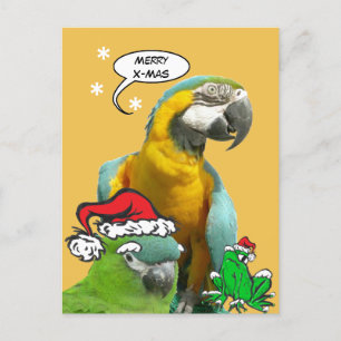 Funny Talking Parrot Merry X-Mas Postcard