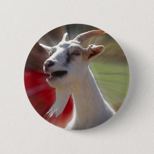 Funny Tallking Goat Photograph 6 Cm Round Badge