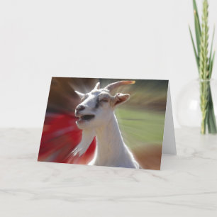 Funny Tallking Goat Photograph Card