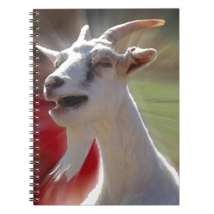 Funny Tallking Goat Photograph Notebook