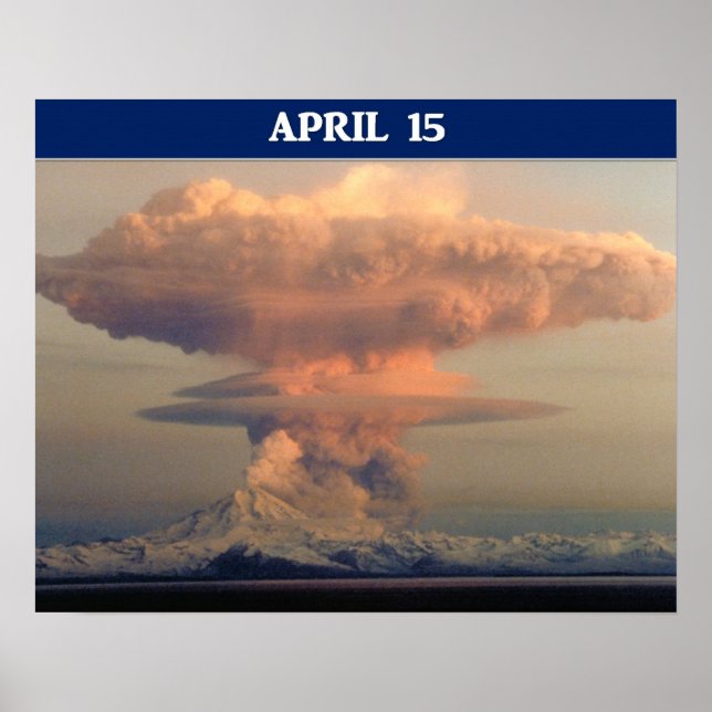 Funny Tax Day Run For Cover Poster (Front)