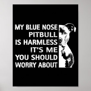 Funny Tbull Quote Blue Nose Tbull Design Cool Dog  Poster