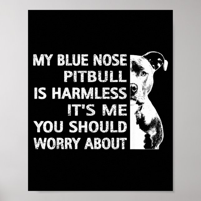 Funny Tbull Quote Blue Nose Tbull Design Cool Dog  Poster (Front)