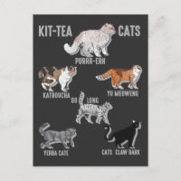 Funny Tea Drinker Cat Humour Kitten Love