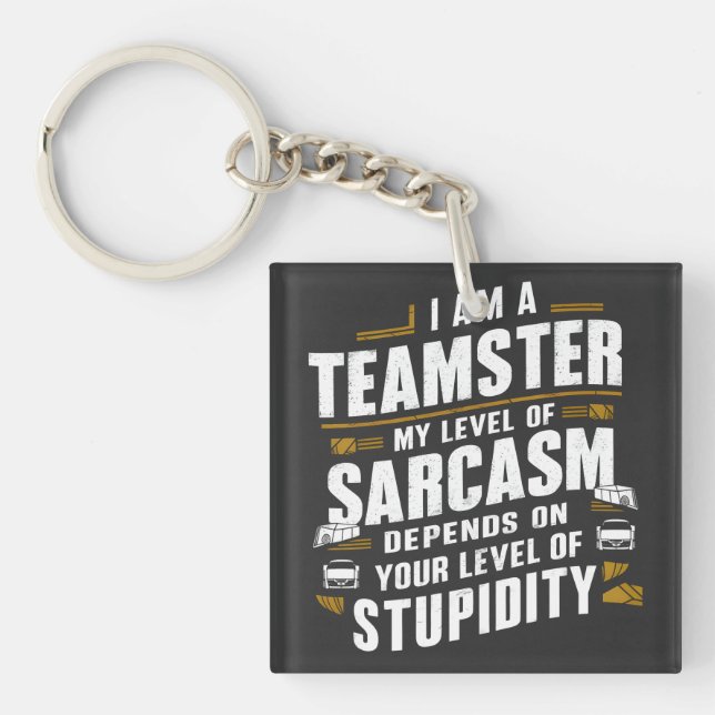 Funny Teamster Quote Sarcasm Joke Trucker Driver Key Ring (Front)
