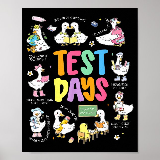 Funny Test Day Goose Testing Day STAAR Day Teacher Poster (Front)