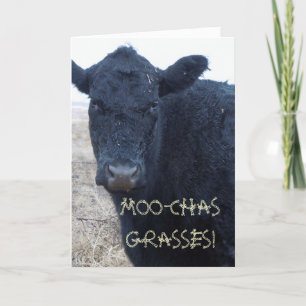 Funny Thank You Cute Black Cattle Cow