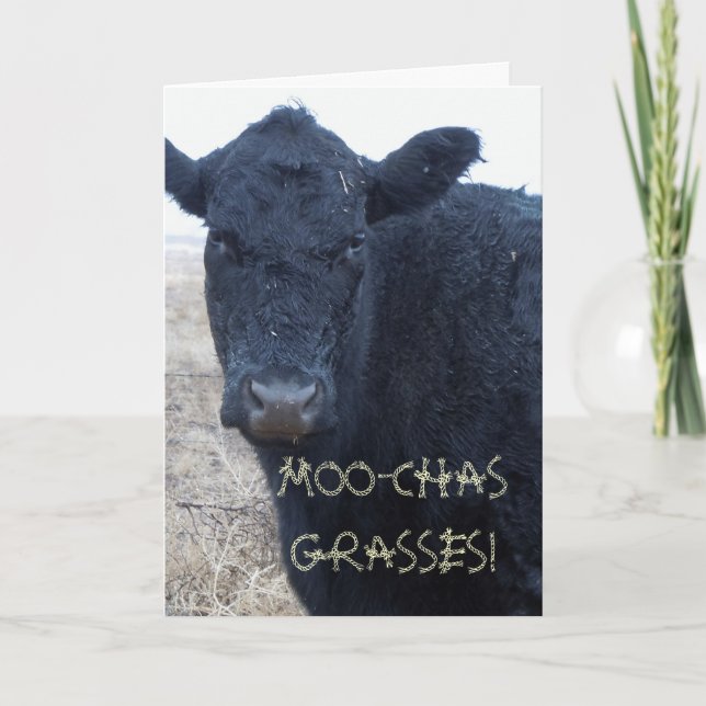 Funny Thank You Cute Black Cattle Cow Card (Front)