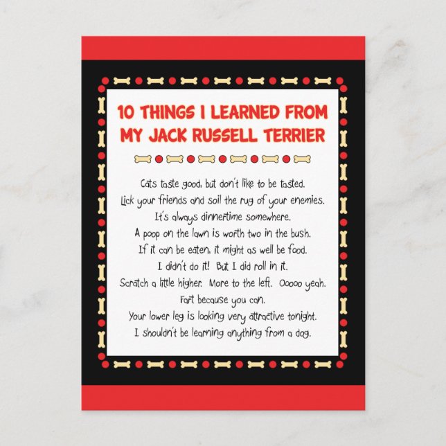 Funny Things I Learned From Jack Russell Terrier Postcard (Front)