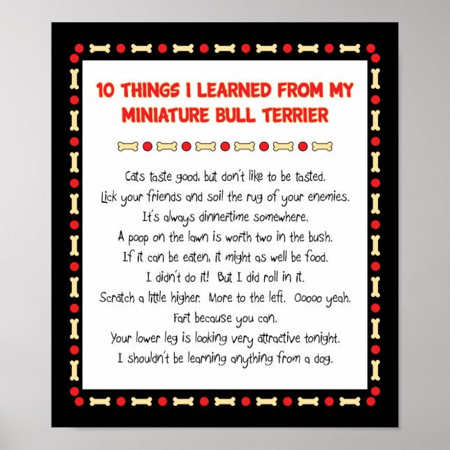 Funny Things I Learned From Miniature Bull Terrier Poster (Front)