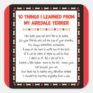 Funny Things I Learned From My Airedale Terrier Square Sticker