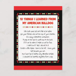 Funny Things I Learned From My American Bulldog Postcard