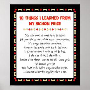 Funny Things I Learned From My Bichon Frise Poster