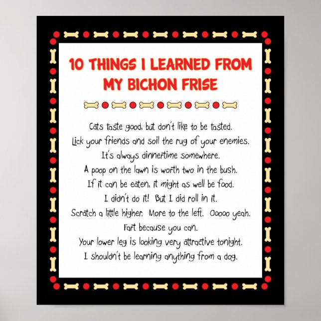 Funny Things I Learned From My Bichon Frise Poster (Front)