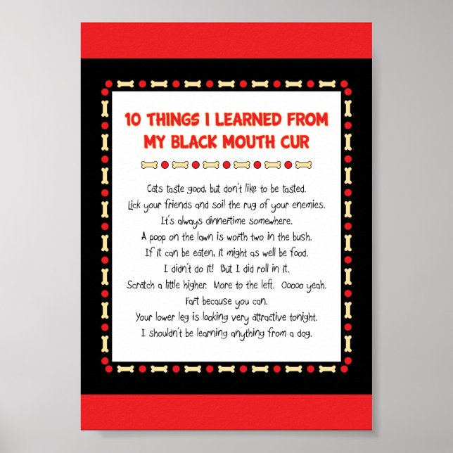 Funny Things I Learned From My Black Mouth Cur Poster (Front)