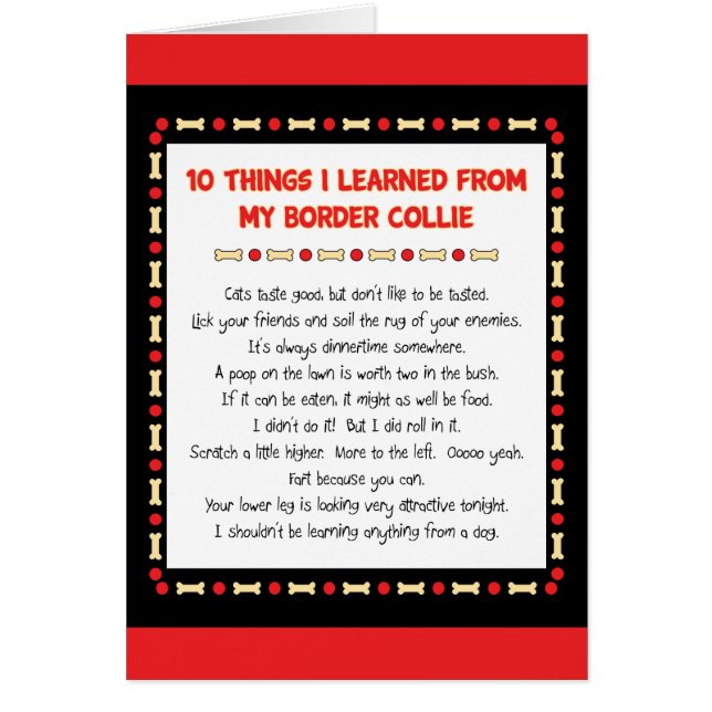 Funny Things I Learned From My Border Collie (Front)