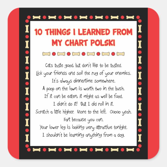 Funny Things I Learned From My Chart Polski Square Sticker (Front)