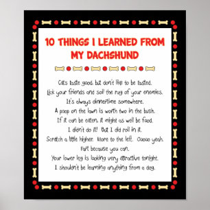 Funny Things I Learned From My Dachshund Poster