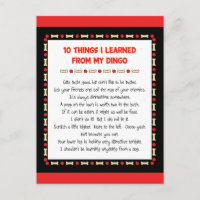 Funny Things I Learned From My Dingo