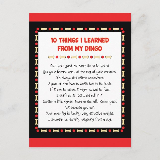 Funny Things I Learned From My Dingo Postcard (Front)