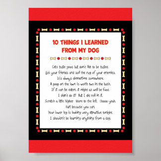 Funny Things I Learned From My Dog Poster