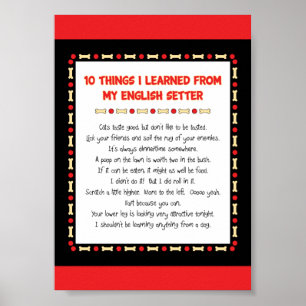 Funny Things I Learned From My English Setter Poster