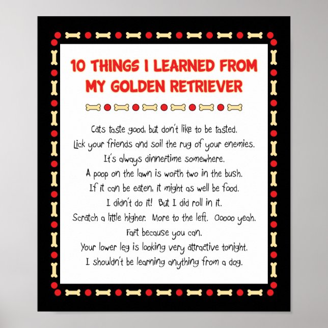 Funny Things I Learned From My Golden Retriever Poster (Front)