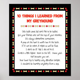 Funny Things I Learned From My Greyhound Poster