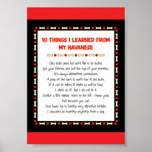 Funny Things I Learned From My Havanese Poster