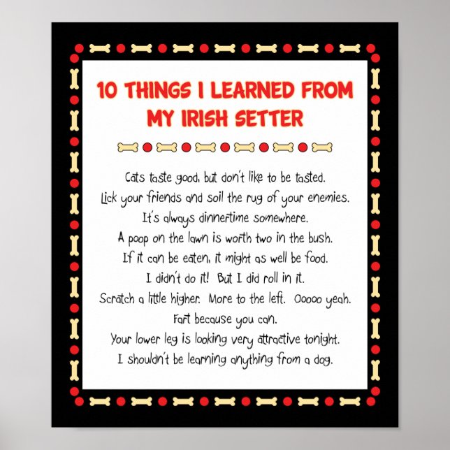 Funny Things I Learned From My Irish Setter Poster (Front)