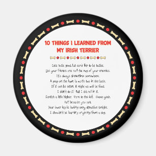 Funny Things I Learned From My Irish Terrier Magnet