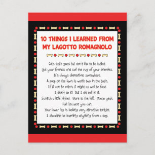 Funny Things I Learned From My Lagotto Romagnolo Postcard