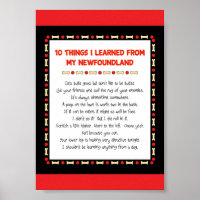 Funny Things I Learned From My Newfoundland