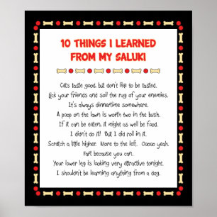 Funny Things I Learned From My Saluki Poster