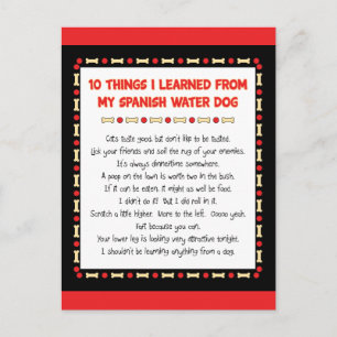 Funny Things I Learned From My Spanish Water Dog Postcard