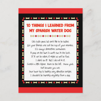 Funny Things I Learned From My Spanish Water Dog Postcard
