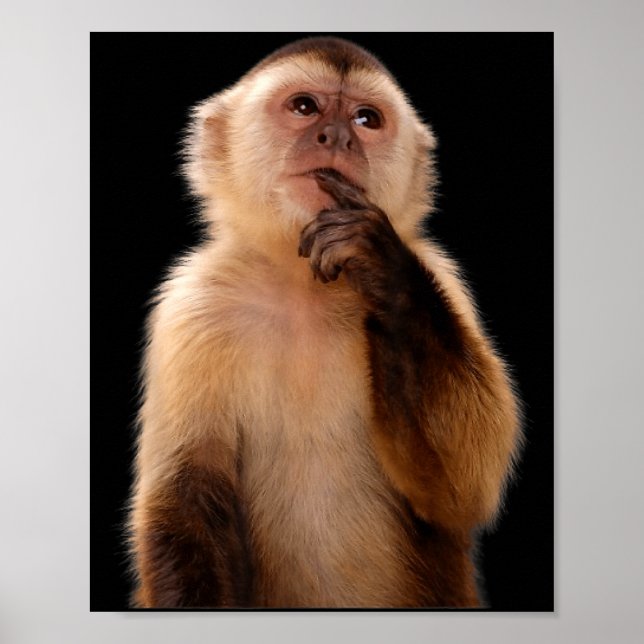 Funny thinking monkey meme sarcastic  poster (Front)