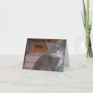 Funny Thinking of You Card