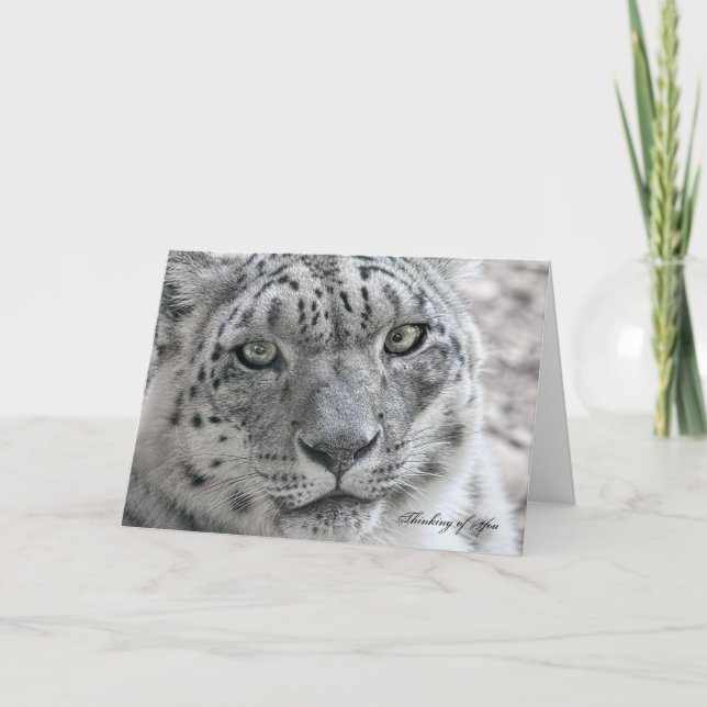Funny Thinking of You Card Hungry Snow Leopard (Front)