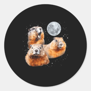 Funny Three Groundhog Moon 3 Groundhog Happy Groun Classic Round Sticker