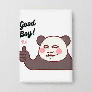 Funny Thumbs Up Panda Meme