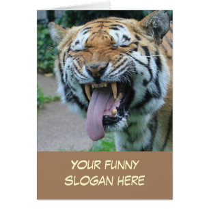 Funny Tiger Photo to Customise Yourself