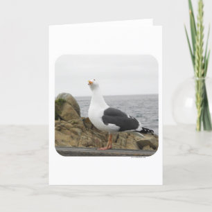 Funny Tilt Head Seagull Card