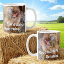 Funny Tilted Chicken Head Photo Template