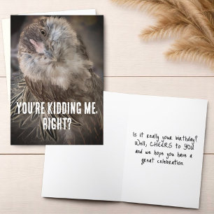 Funny Tilted Head Chicken Close-Up Photo  Card