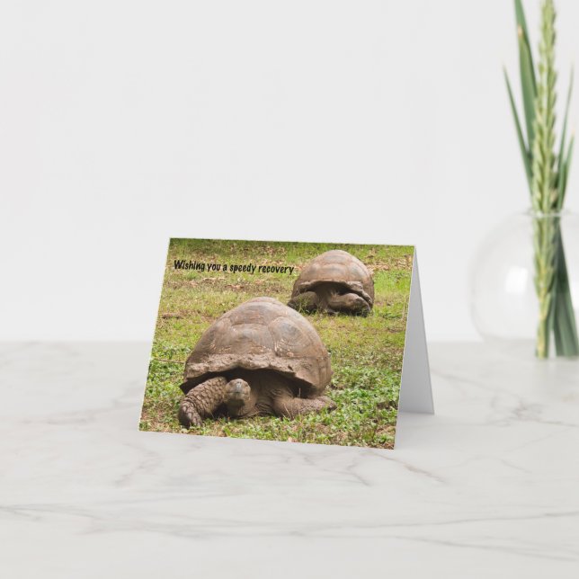 Funny Tortoise Get Well Card (Front)