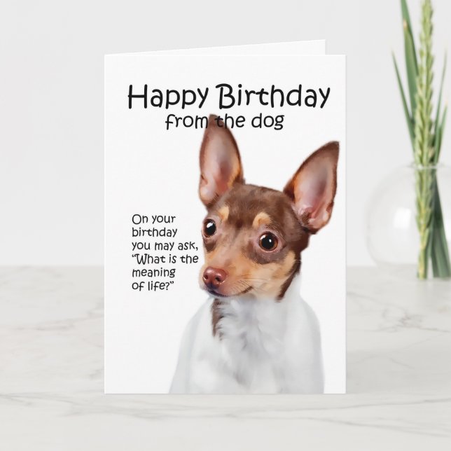 Funny Toy Fox Terrier Birthday Card (Front)