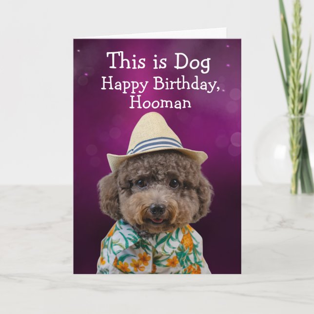 Funny toy poodle birthday card (Front)